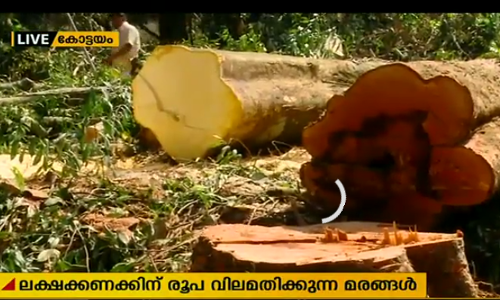 എംജി സര്‍വ്വകലാശാലയില്‍ വീണ്ടും അനധികൃത മരംമുറി