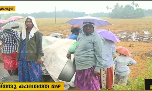 കൊയ്ത്തുകാലത്ത് മഴ: കുട്ടനാട്ടില്‍ നെല്‍കര്‍ഷകര്‍ ദുരിതത്തില്‍