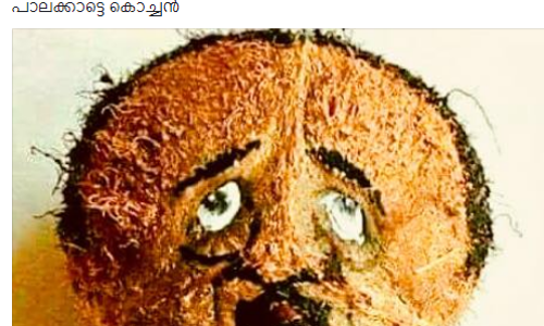 അധികാര ദുര്‍മ്മേദസിന് വിശ്രമജീവിതം ആശംസിച്ച് വിടി ബല്‍റാം