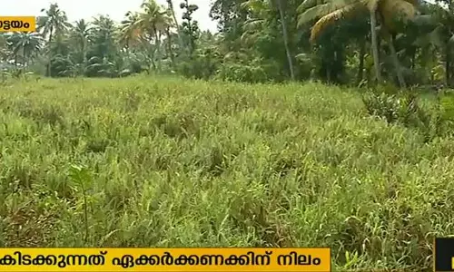 തരിശ് നിലങ്ങള് കൃഷി ചെയ്യണം: കൃഷി വകുപ്പിനെതിരെ സിപിഎം പ്രമേയം തരിശ് നിലങ്ങള് കൃഷി ചെയ്യണം: കൃഷി വകുപ്പിനെതിരെ സിപിഎം പ്രമേയം