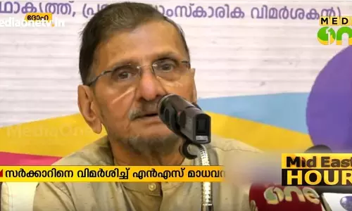 ഹാദിയ വിഷയത്തില്‍ കേരളത്തില്‍ സാമുദായിക ധ്രുവീകരണമുണ്ടായിട്ടില്ല: എന്‍ എസ് മാധവന്‍