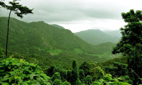 കസ്തൂരിരംഗന്‍ വിജ്ഞാപനം പുതുക്കി ഇറക്കാന്‍ അനുമതി