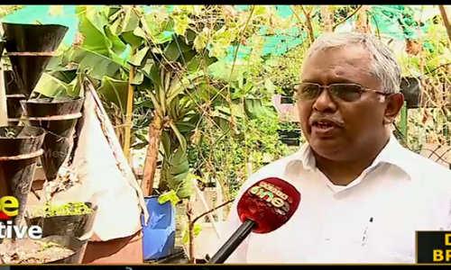 മട്ടുപ്പാവിലെ ജൈവകൃഷി വ്യാപനം ജീവിതവ്രതമാക്കി ചെന്നൈ മലയാളി