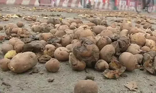 കിലോക്ക് 4 രൂപ, യോഗിയുടെ വസതിക്ക് മുന്നില്‍ ഉരുളക്കിഴങ്ങ് തള്ളി പ്രതിഷേധം 