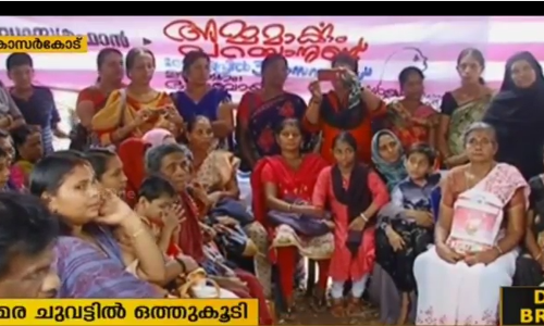 ഈ അമ്മമാര്‍ക്കും ചിലത് പറയാനുണ്ട്