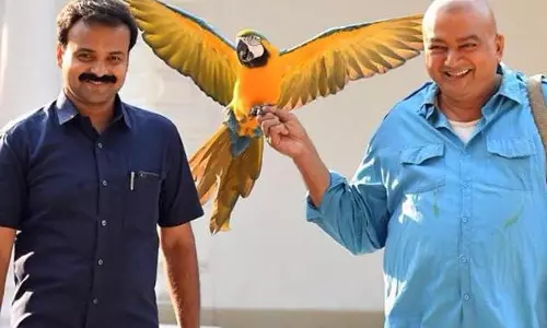 പഞ്ചവര്ണതത്തയിലെ ജയറാം പഞ്ചവര്ണതത്തയിലെ ജയറാം