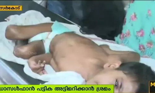 എൻഡോസൾഫാൻ ദുരിതബാധിതരുടെ പുതിയ പട്ടിക പുനപരിശോധിക്കും എൻഡോസൾഫാൻ ദുരിതബാധിതരുടെ പുതിയ പട്ടിക പുനപരിശോധിക്കും