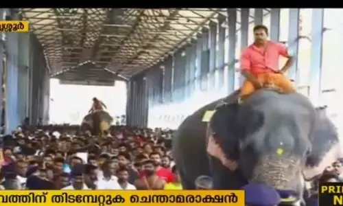 ആനയോട്ട മത്സരത്തില് ചെന്താമരാക്ഷന് വിജയി ആനയോട്ട മത്സരത്തില് ചെന്താമരാക്ഷന് വിജയി