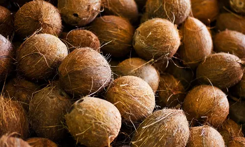 സംസ്ഥാനത്ത് തേങ്ങയുടെ വില വീണ്ടും ഇടിഞ്ഞു