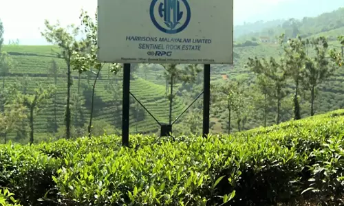 ഹാരിസണ് കേസ് നടത്തിപ്പില് സര്ക്കാര് വരുത്തിയത് ഗുരുതര വീഴ്ച ഹാരിസണ് കേസ് നടത്തിപ്പില് സര്ക്കാര് വരുത്തിയത് ഗുരുതര വീഴ്ച