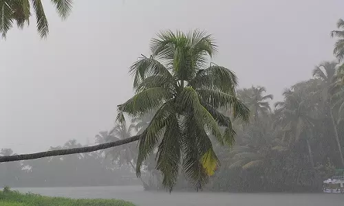 കേരളത്തില് കാലവര്ഷം 29നെത്തും കേരളത്തില് കാലവര്ഷം 29നെത്തും