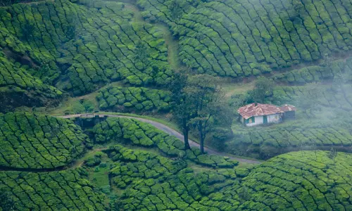ടാറ്റയുടെ കൈവശമുള്ള ഭൂമിയുടെ അസ്സല് രേഖകള് ഹാജരാക്കാന് ഹൈക്കോടതി ഉത്തരവ് ടാറ്റയുടെ കൈവശമുള്ള ഭൂമിയുടെ അസ്സല് രേഖകള് ഹാജരാക്കാന് ഹൈക്കോടതി ഉത്തരവ്