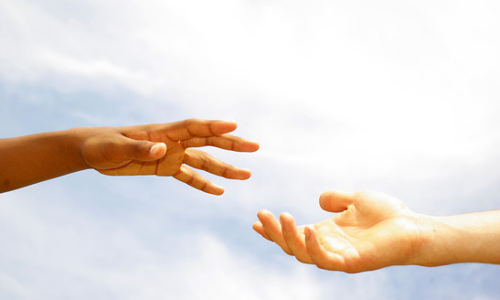 വൃക്കരോഗിക്ക് കൈതാങ്ങായി സ്വകാര്യബസുടമകൾ