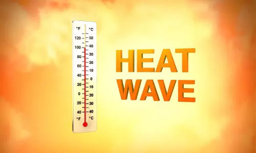 സംസ്ഥാനത്ത് സൂര്യാഘാതമേറ്റ് രണ്ടു പേര്‍ മരിച്ചു