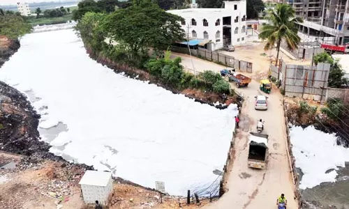 വിഷപ്പതയില് മുങ്ങി ബെലന്ദൂര് തടാകം വിഷപ്പതയില് മുങ്ങി ബെലന്ദൂര് തടാകം