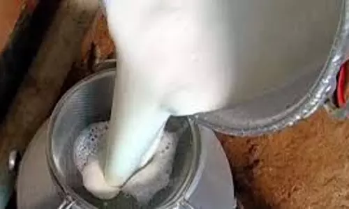 അതിര്‍ത്തിയില്‍ പാല്‍ പരിശോധന ശക്തമാക്കുന്നു