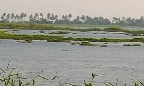 മെത്രാന് കായലില് കൃഷി ഇറക്കല് സര്ക്കാരിന് വെല്ലുവിളി മെത്രാന് കായലില് കൃഷി ഇറക്കല് സര്ക്കാരിന് വെല്ലുവിളി