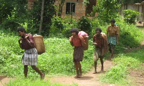 ചോലനായ്ക്കരുടെ രക്തസാമ്പിള് വിദേശത്തേക്ക് കടത്തിയ സംഭവം: അന്വേഷണം തുടങ്ങി ചോലനായ്ക്കരുടെ രക്തസാമ്പിള് വിദേശത്തേക്ക് കടത്തിയ സംഭവം: അന്വേഷണം തുടങ്ങി