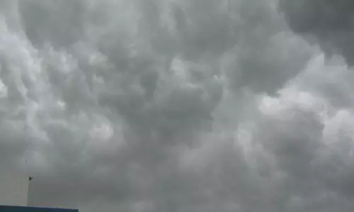 മണ്‍സൂണ്‍ മഴ കിട്ടാതെ വയനാട്ടിലും കാസര്‍ഗോഡും