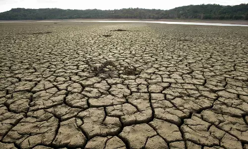 രാജ്യത്ത് 25ശതമാനം ആളുകള്‍ വരള്‍ച്ചയുടെ ദുരിതങ്ങളനുഭവിക്കുന്നെന്ന് കേന്ദ്രസര്‍ക്കാര്‍