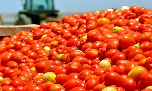 തക്കാളിവില കുതിച്ചുയര്‍ന്നതിന് പിന്നില്‍