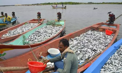 ജനങ്ങള്ക്ക് വിഷരഹിത മീന്, മത്സ്യത്തൊഴിലാളികള്ക്ക് ന്യായവില ജനങ്ങള്ക്ക് വിഷരഹിത മീന്, മത്സ്യത്തൊഴിലാളികള്ക്ക് ന്യായവില