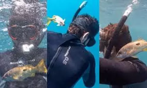 അമ്മയാനയുടെ ജീവന്‍ പോയത് അറിയാതെ കുട്ടിയാന