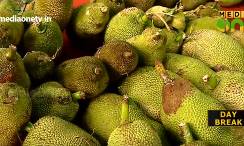 രുചിയുടെ ഇത്സവമൊരുക്കി ചക്ക മഹോത്സവം