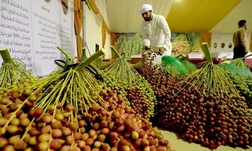 സമ്മാനപ്പെരുമഴയുമായി ലിവ ഈത്തപ്പഴോത്സവം