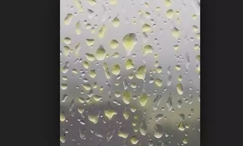 ഇടുക്കിയില്‍ മഞ്ഞമഴ