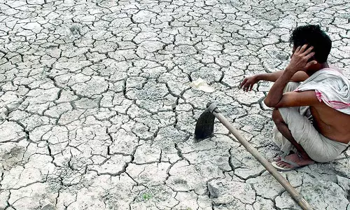 വരള്‍ച്ചാദുരിതങ്ങള്‍ ചര്‍ച്ച ചെയ്യാന്‍ ഇന്ന് ചീഫ് സെക്രട്ടറിമാരുടെ യോഗം