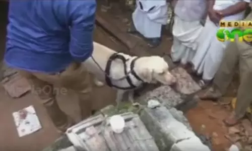 പെരുമ്പാവൂരില്‍ പെണ്‍കുട്ടി കൊല്ലപ്പെട്ട സംഭവം: അന്വേഷണം എങ്ങുമെത്തിയില്ല