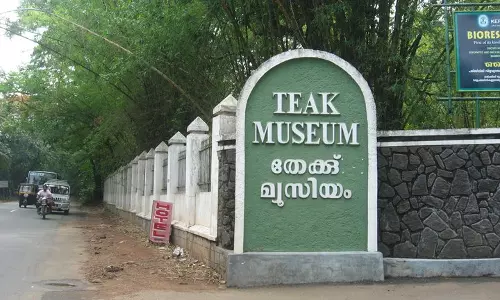 നിലമ്പൂര്‍; ഇന്ത്യന്‍ തേക്ക് ഉത്പന്ന നിര്‍മാണ മേഖലയുടെ നട്ടെല്ല്