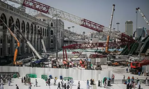 ബിന്‍ലാദന്‍ ഗ്രൂപ്പിന് സൗദിസര്‍ക്കാര്‍ ഏര്‍പ്പെടുത്തിയ വിലക്ക് നീക്കി