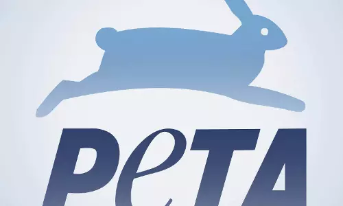 ദുബൈ അഗ്നിശമനസേനാംഗങ്ങളെ ആദരിക്കാന്‍ പെറ്റ