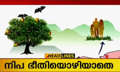 നിപ വൈറസ് ബാധ: എയിംസിലെ വിദഗ്ധ സംഘം ഇന്ന് ‌കോഴിക്കോട്ടെത്തും