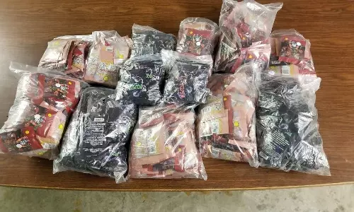 കേരളത്തിലേക്ക് ലഹരിയൊഴുകുന്നത് പാലക്കാടന്‍ ഇടനാഴിയിലൂടെ