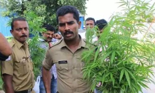 ഇടുക്കി ഗോള്ഡിന്റെ വില്പ്പനയില് വന് വര്ധനവെന്ന് കണക്കുകള് ഇടുക്കി ഗോള്ഡിന്റെ വില്പ്പനയില് വന് വര്ധനവെന്ന് കണക്കുകള്