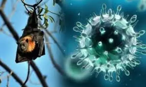നിപ വൈറസ്; ആശങ്കകള്‍ വേണ്ട