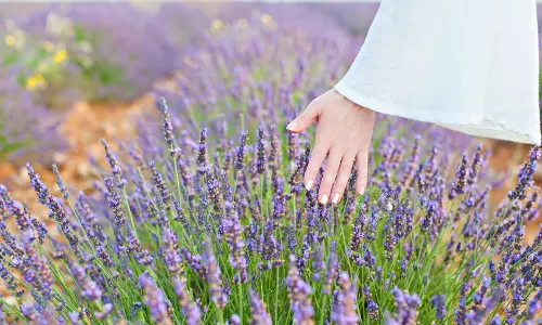 കാഴ്ചയില്ലാത്തവര്‍ക്കായി ഒരു പൂന്തോട്ടം