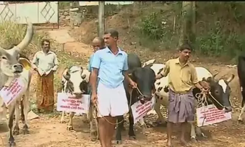 വെള്ളം തരൂ, വെള്ളം തരൂ: പ്രതിഷേധവുമായി മൃഗങ്ങൾ പഞ്ചായത്ത് ഓഫീസില് വെള്ളം തരൂ, വെള്ളം തരൂ: പ്രതിഷേധവുമായി മൃഗങ്ങൾ പഞ്ചായത്ത് ഓഫീസില്