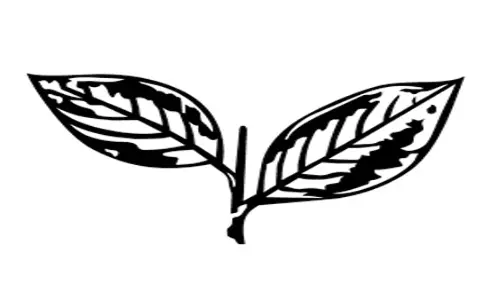 ചരല്‍ക്കുന്ന് ക്യാമ്പിലെടുത്ത തീരുമാനത്തില്‍ ഉറച്ച് നില്‍ക്കും: മോന്‍സ് ജോസഫ്