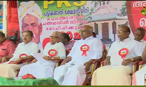 അയ്യങ്കാളി സ്മൃതി മണ്ഡപത്തെ സംരക്ഷിക്കാന്‍ മോചന സംഗമം