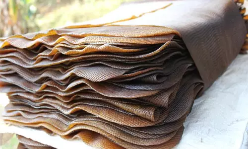 മലബാറിലെ ഏക റബ്ബര്‍ അധിഷ്ഠിത വ്യവസായ കേന്ദ്രം അടച്ചുപൂട്ടല്‍ ഭീഷണിയില്‍