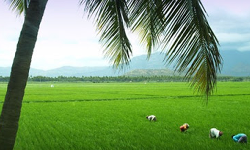 പഞ്ഞക്കര്‍ക്കിടകം മറഞ്ഞു, പൊന്നിന്‍ ചിങ്ങം പിറന്നു