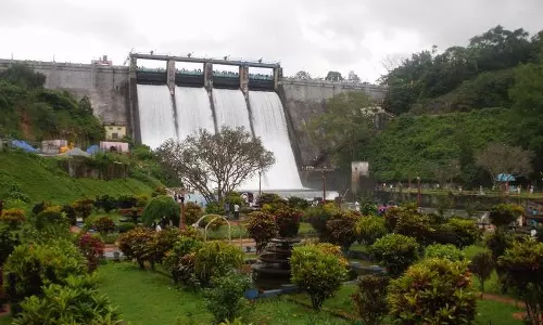 മഴ കുറഞ്ഞു, പീച്ചി ഡാമില്‍ വെള്ളവും വറ്റി