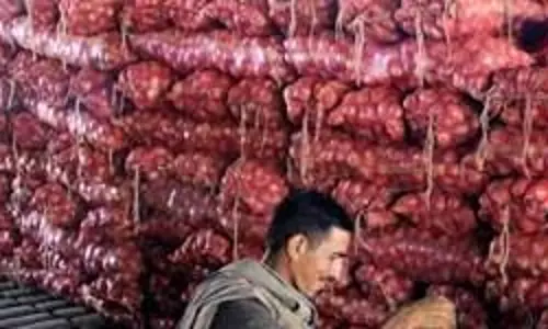 ഒരു കിലോ ഉള്ളിക്ക് അഞ്ച് പൈസ, പ്രതിഷേധവുമായി നാസികിലെ കര്‍ഷകര്‍