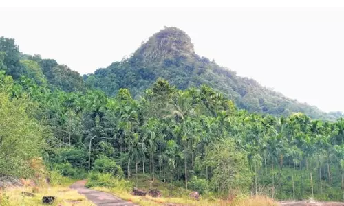 ചക്കിട്ടപ്പാറയില്‍ ഖനനം തുടങ്ങാന്‍ സ്വകാര്യ കമ്പനി