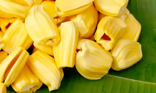 വയറും മനസും നിറച്ച് ചക്ക സദ്യ