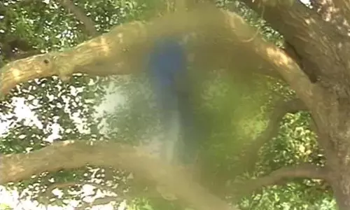 പാര്‍ലമെന്റിന് സമീപം യുവാവിനെ ആത്മഹത്യ ചെയ്ത നിലയില്‍ കണ്ടെത്തി